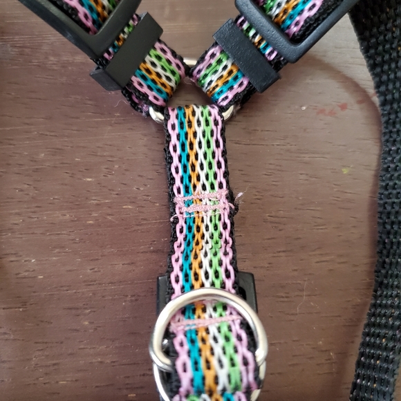 Dog Harness and Bandana - Picture 3 of 5